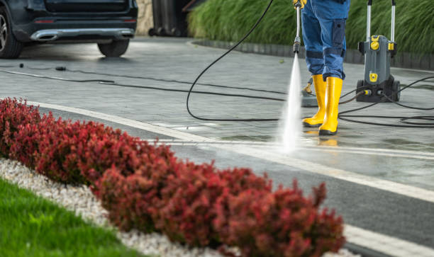 Best Roof Pressure Washing  in Skidmore, TX